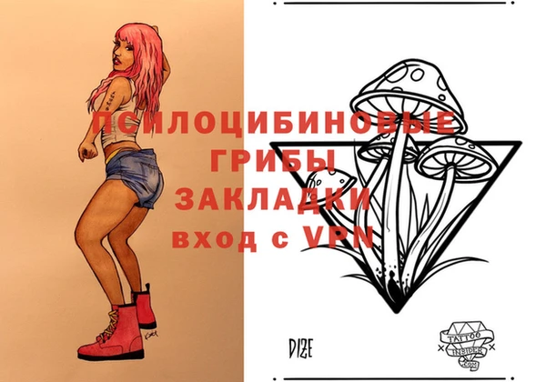 кокс Аркадак